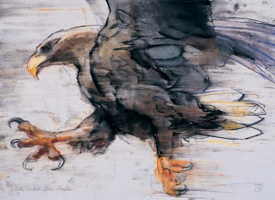 Szpony - Bielik morski, 2001 (węgiel i conte na papierze) autorstwa Mark Adlington