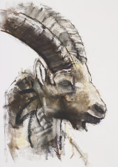 Testa, 2005 (charcoal und conte on paper) autorstwa Mark Adlington