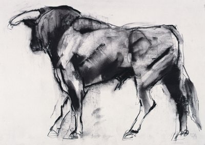 Toro Azul, studium (węgiel na papierze) autorstwa Mark Adlington