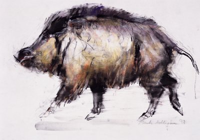 Dzik, 1999 (grafit, konterfekt i węgiel drzewny na papierze) autorstwa Mark Adlington