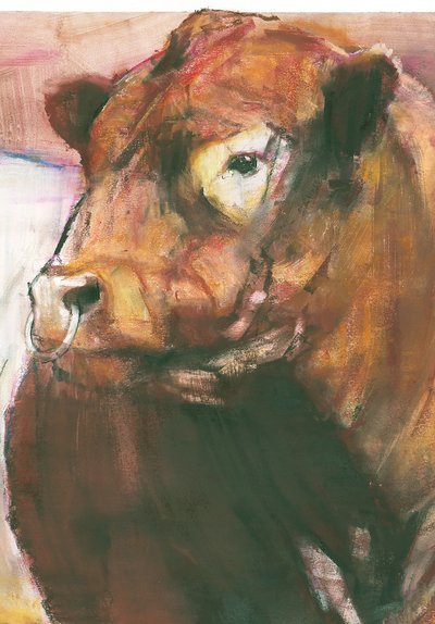 Zeus, Red Belted Galloway Bull, 2006 technika mieszana na papierze 275255 autorstwa Mark Adlington