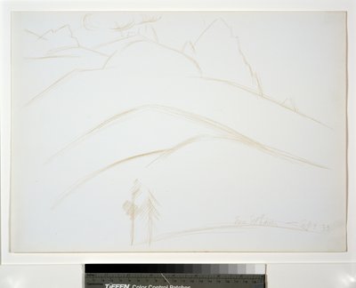 Górski krajobraz z dwiema sosnami autorstwa Marsden Hartley