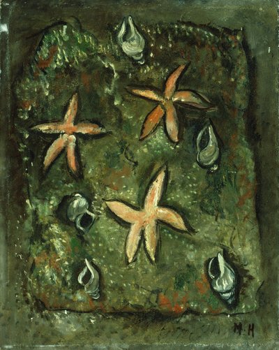 Rozgwiazdy i muszle autorstwa Marsden Hartley