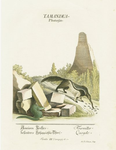  autorstwa Martin Elias Ridinger