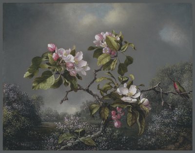 Kwiaty jabłoni i koliber, 1871 autorstwa Martin Johnson Heade