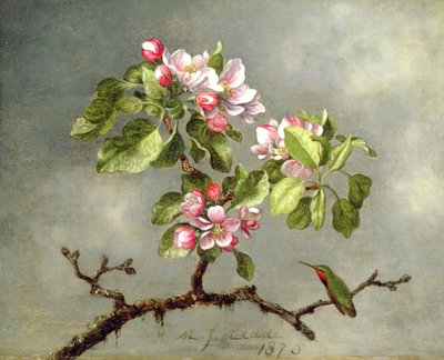 Kwiaty jabłoni i koliber, 1875 autorstwa Martin Johnson Heade