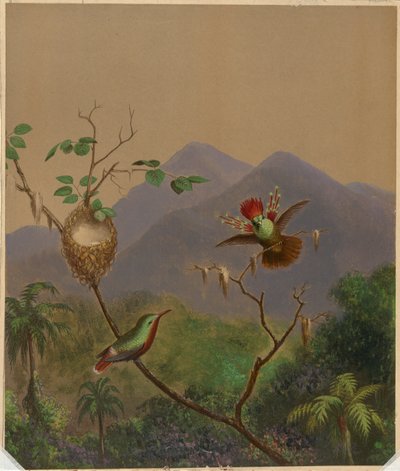Brazylijskie Kolibry III autorstwa Martin Johnson Heade