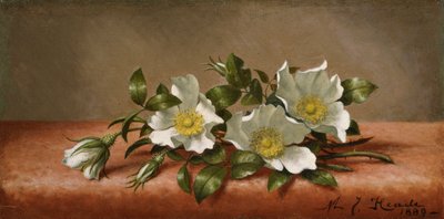 czerokeskie róże autorstwa Martin Johnson Heade