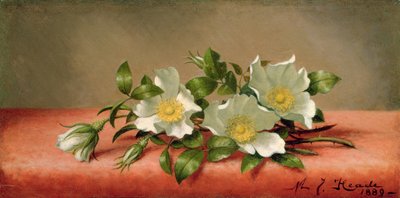 Róże Czirokezów, 1889 autorstwa Martin Johnson Heade