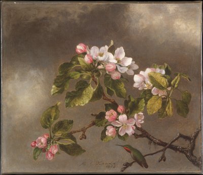  autorstwa Martin Johnson Heade