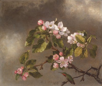 Koliber i kwiaty jabłoni, 1875 autorstwa Martin Johnson Heade
