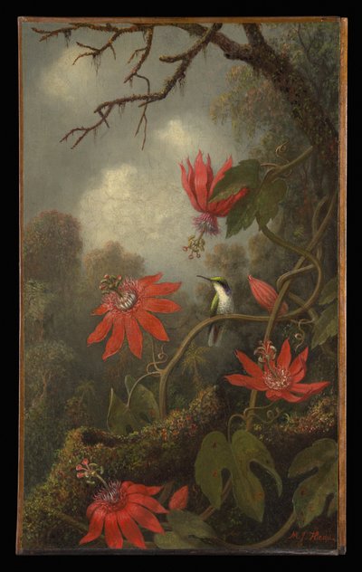  autorstwa Martin Johnson Heade