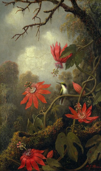Koliber i Passionflowers, ca. 1875-85. autorstwa Martin Johnson Heade