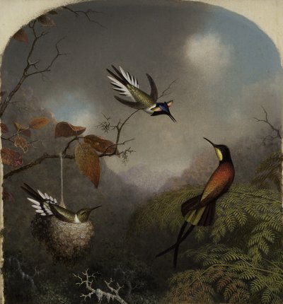 Kolibry: Dwa Sungemy i Karmazynowy Topaz, 1866 autorstwa Martin Johnson Heade