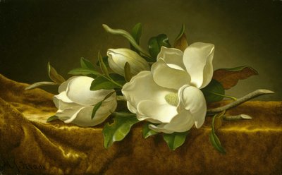 Magnolie na złotym aksamicie autorstwa Martin Johnson Heade