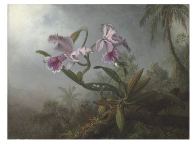Różowe orchidee i koliber na gałązce, 1875 autorstwa Martin Johnson Heade