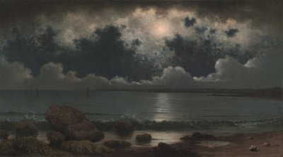 Point Judith, Rhode Island, 1867-1868. autorstwa Martin Johnson Heade