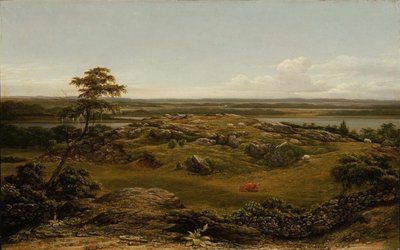 Skały w Nowej Anglii autorstwa Martin Johnson Heade