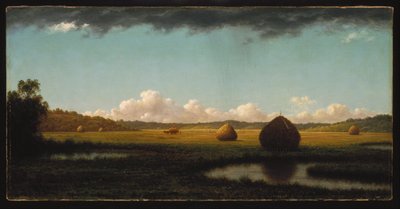 Letnie prysznice autorstwa Martin Johnson Heade