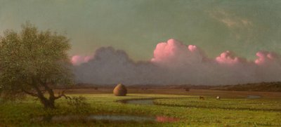  autorstwa Martin Johnson Heade