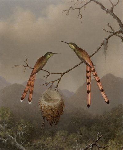  autorstwa Martin Johnson Heade