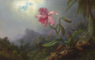 Dwa kolibry z orchideą 1875 (olej na płótnie) autorstwa Martin Johnson Heade