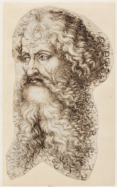 Głowa brodatego mężczyzny w trzech czwartych profilu po lewej stronie autorstwa Martin Schongauer