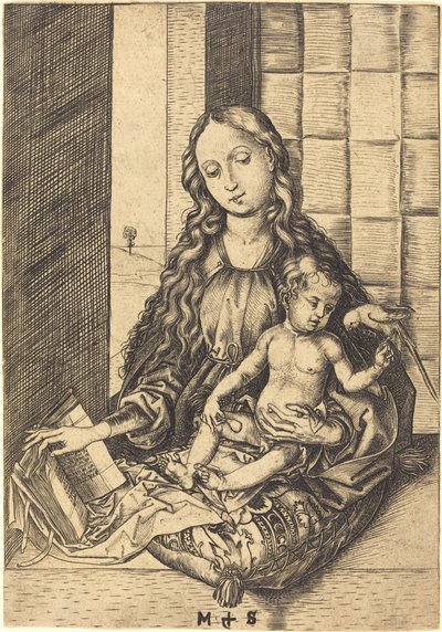 Madonna z papugą autorstwa Martin Schongauer