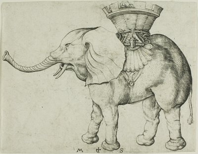 Słoń autorstwa Martin Schongauer