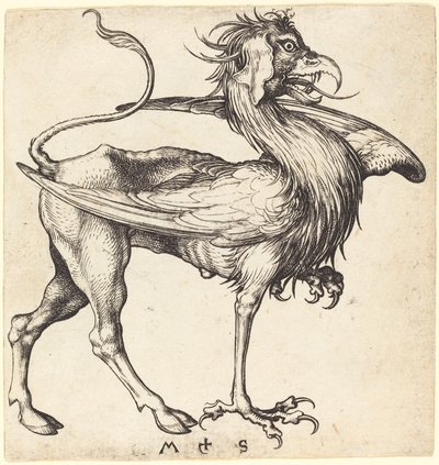 Gryf autorstwa Martin Schongauer