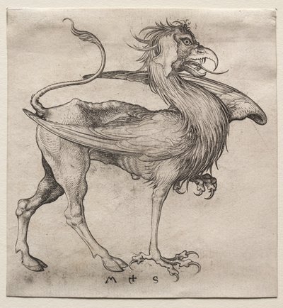 Gryf autorstwa Martin Schongauer