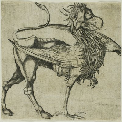 Gryf autorstwa Martin Schongauer