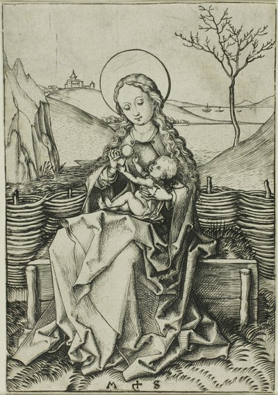Madonna z Dzieciątkiem na trawiastej ławce autorstwa Martin Schongauer
