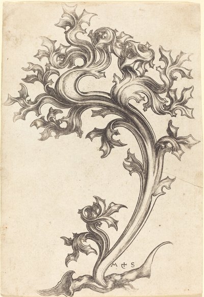 Ozdoba z ostu autorstwa Martin Schongauer