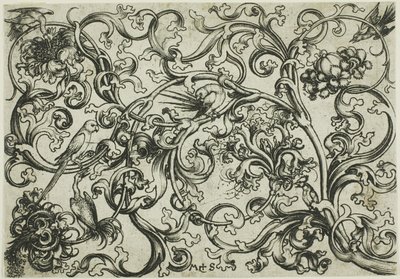 Ozdoba z winorośli z papugami i ptakami autorstwa Martin Schongauer