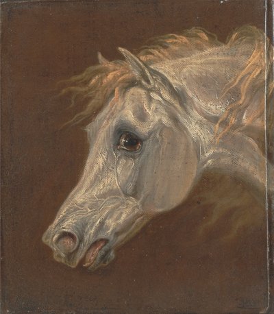 Głowa szarego konia arabskiego autorstwa Martin Theodore Ward