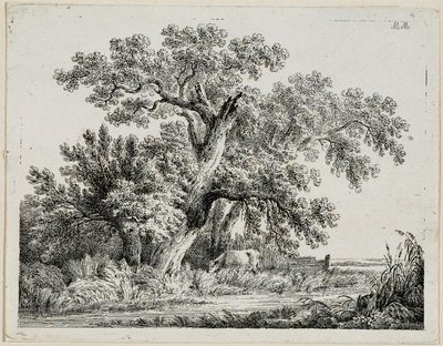 krajobraz autorstwa Martin von Molitor
