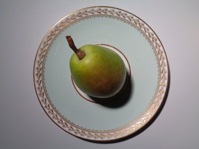 Porcelana Lorenz Hutschenreuther z gruszką autorstwa Martina Konitzky