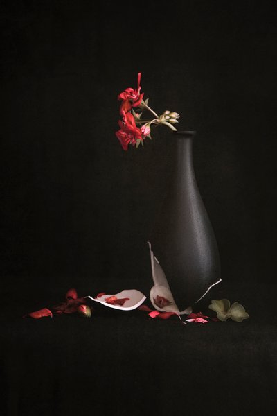  autorstwa Martine Benezech