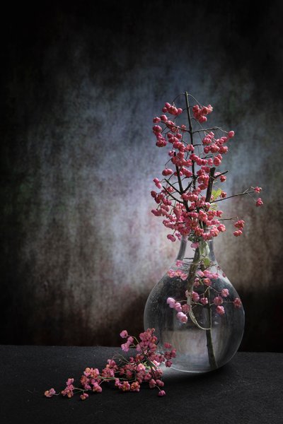 autorstwa Martine Benezech
