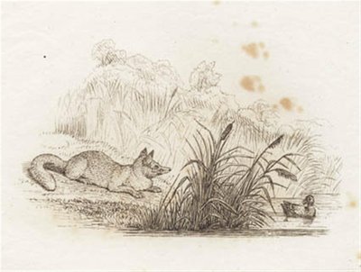 Ilustracja do „Pół setki bajek dla dzieci” autorstwa Hey autorstwa Martinus Rørbye