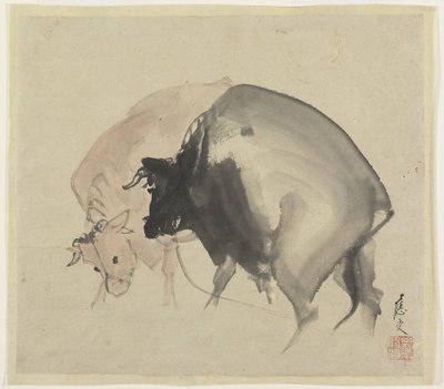 Dwa byki, ok. 1810 (atrament i kolory na papierze) autorstwa Maruyama Oju