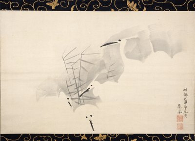 Białe czaple, 1769. autorstwa Maruyama Okyo
