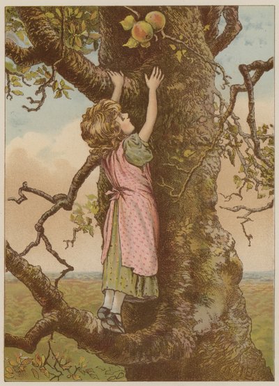 Dziewczyna wspina się po ostatnie jabłka (chromolitho) autorstwa Mary Ellen Edwards