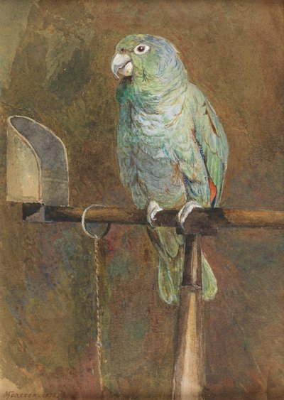Polly papuga autorstwa Mary Forster