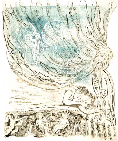 Śnienie piękna, 2004 (pióro i tusz akrylowy) autorstwa Mary Kuper
