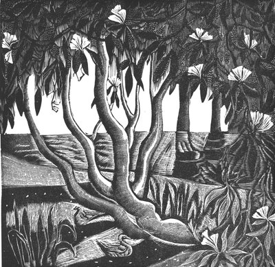 Rododendrony, Holland Park, 2006 (grawerunek winylowy) autorstwa Mary Kuper
