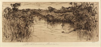 Meadowland autorstwa Mary Nimmo Moran