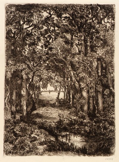 Morze przez las autorstwa Mary Nimmo Moran