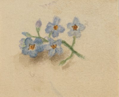 Bez tytułu, 1874. autorstwa Mary Vaux Walcott